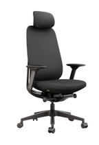 Acama High Back Ergonomic Office Chair