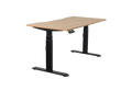 Electric Standing Desk