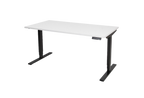 Electric Standing Desk