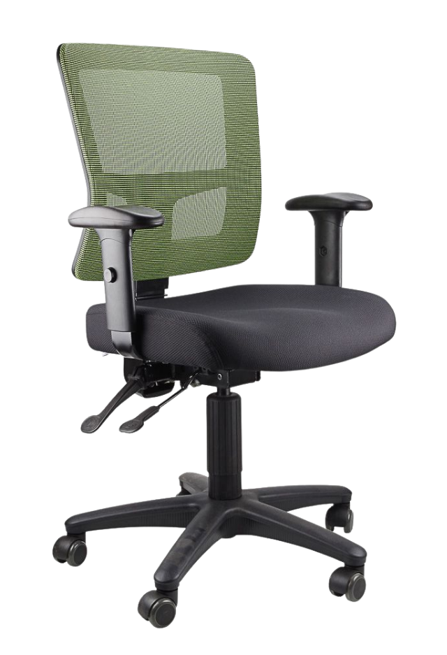 Toledo Ergonomic Mesh Office Chair