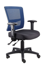 Toledo Ergonomic Mesh Office Chair