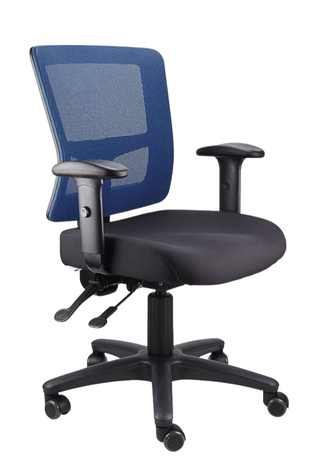 Toledo Ergonomic Mesh Office Chair