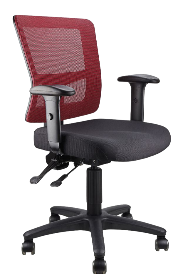 Toledo Ergonomic Mesh Office Chair