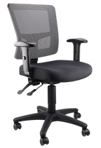 Toledo Ergonomic Mesh Office Chair