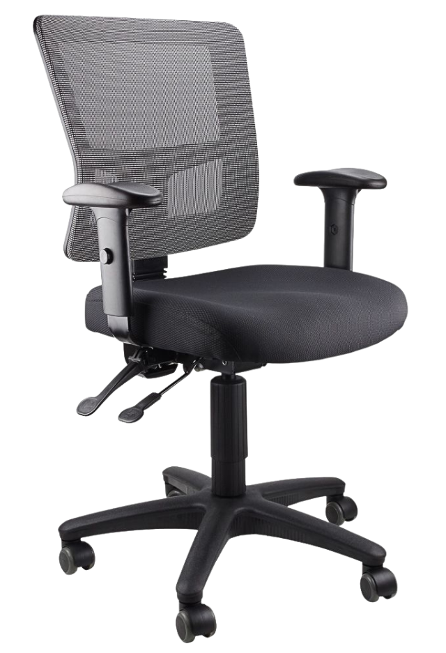 Toledo Ergonomic Mesh Office Chair