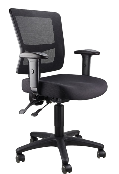 Toledo Ergonomic Mesh Office Chair