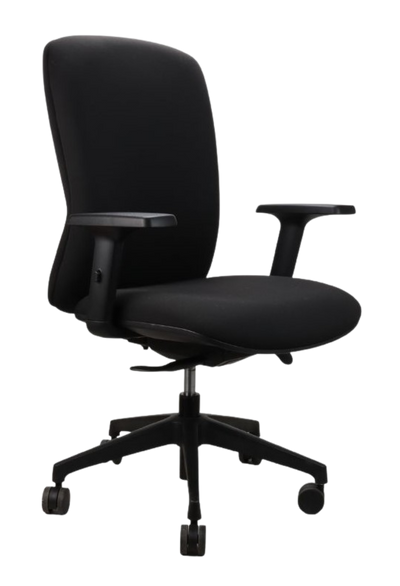 Oliver Fabric Ergonomic Office Chair