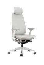 Acama High Back Ergonomic Office Chair