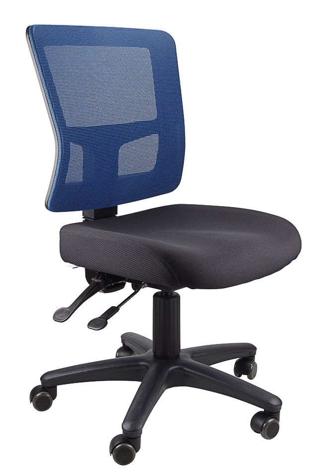 Toledo Ergonomic Mesh Office Chair