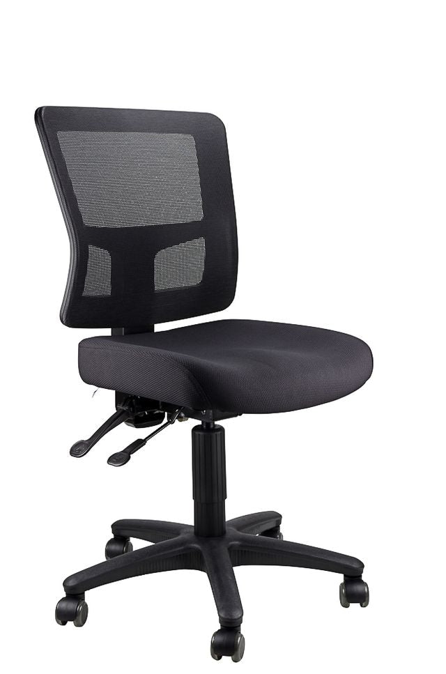 Toledo Ergonomic Mesh Office Chair